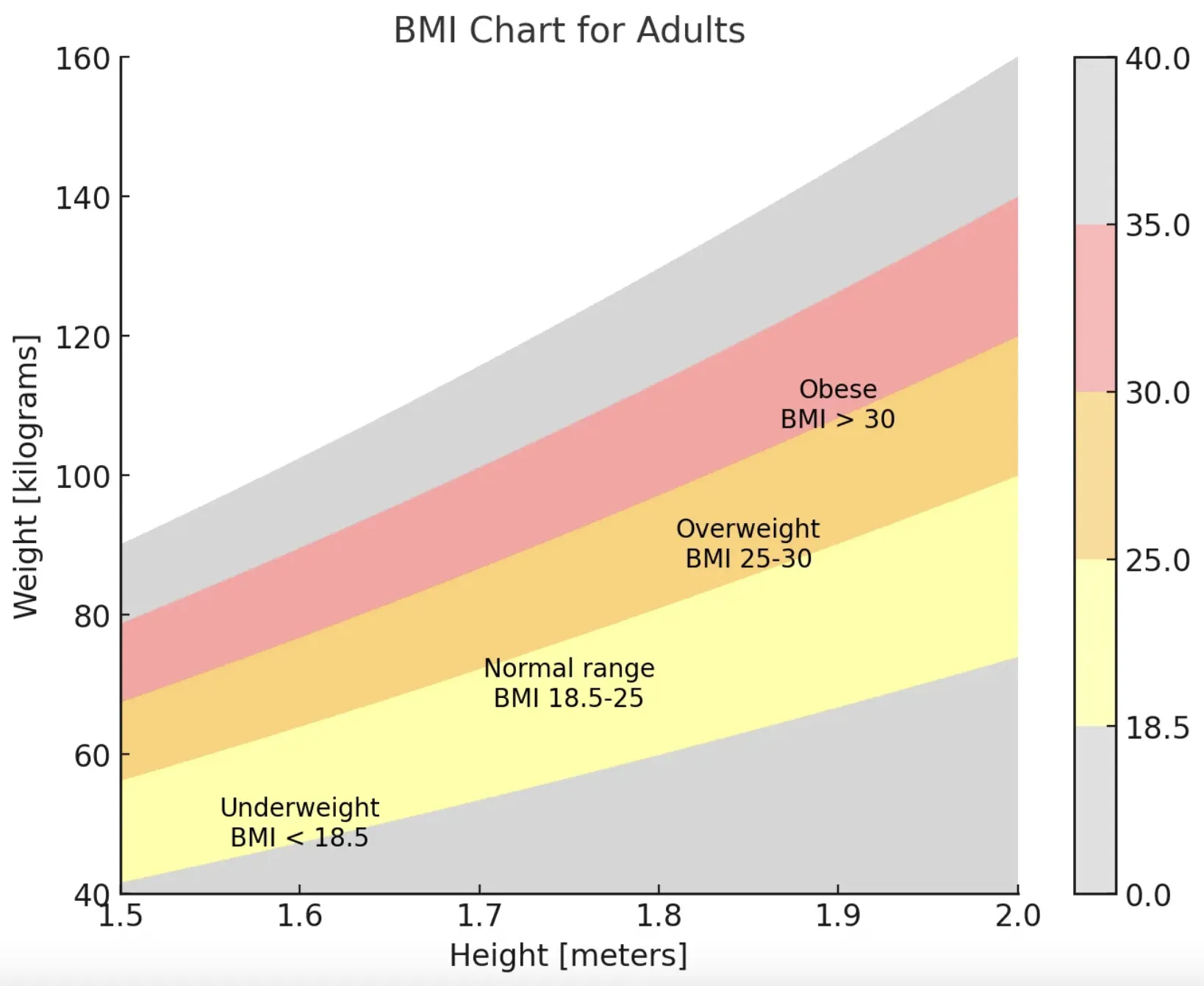BMI chart for adults